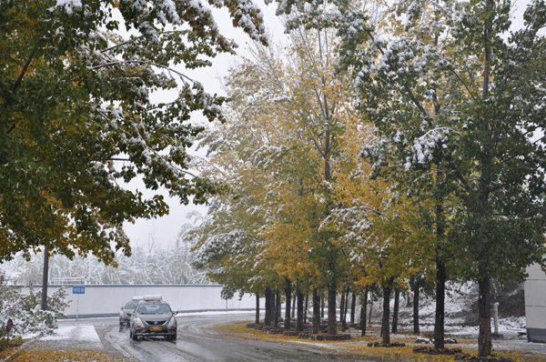 1446792814369686.png 圖片1.png