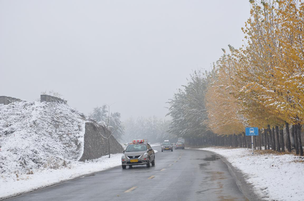 1446793434688809.png 圖片2.png