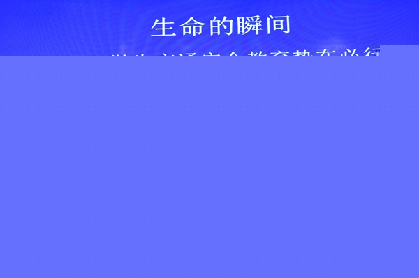 1527466939128936.jpg DSC_0467.jpg