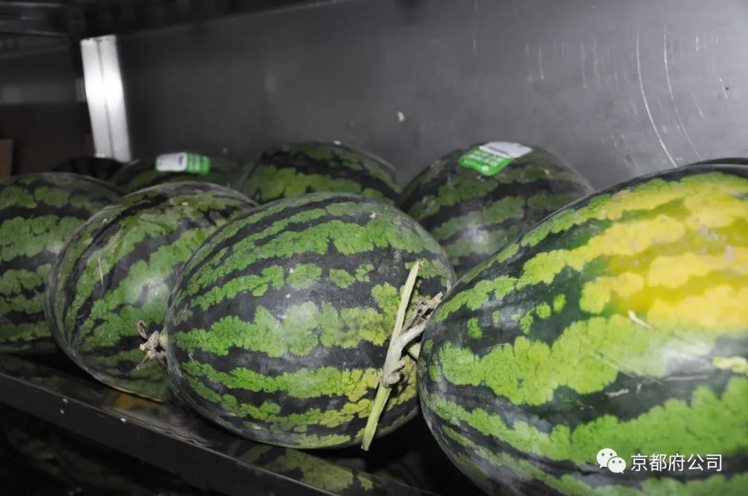 京都府駕校 京都府駕校