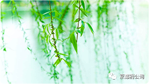 京都府駕校 京都府駕校