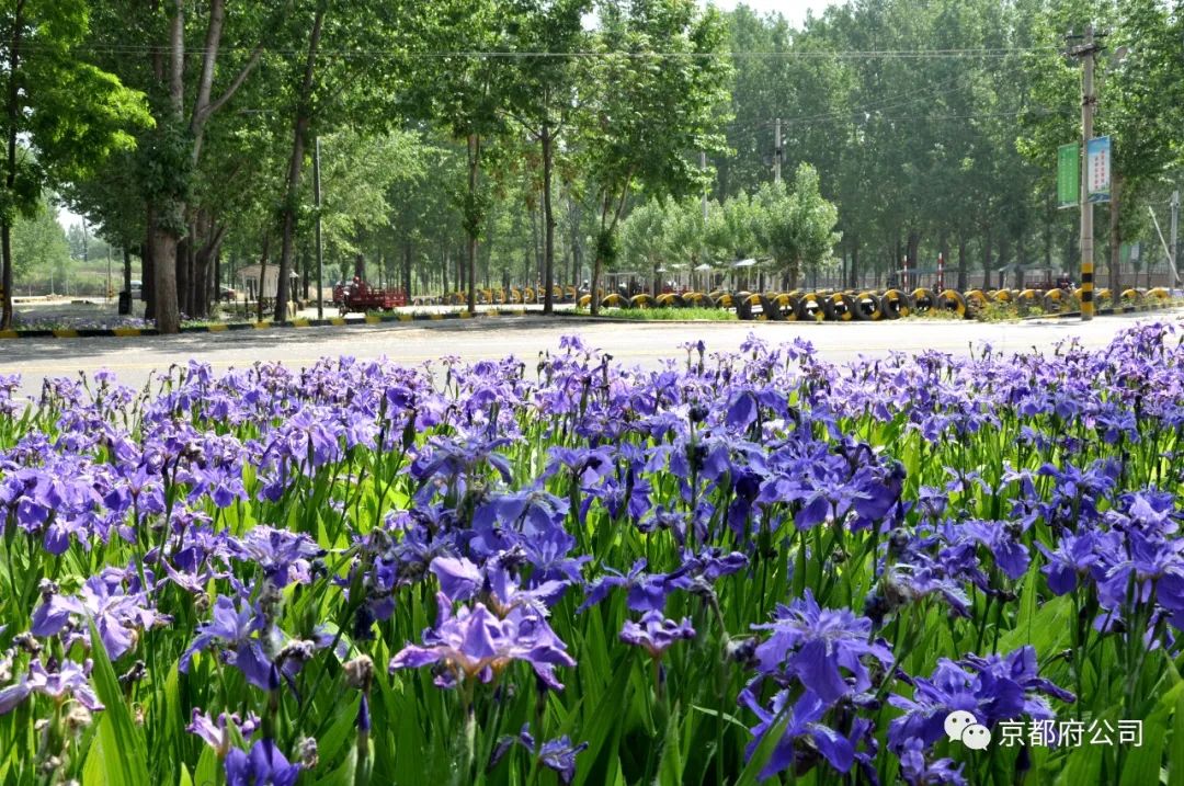 京都府駕校 京都府駕校