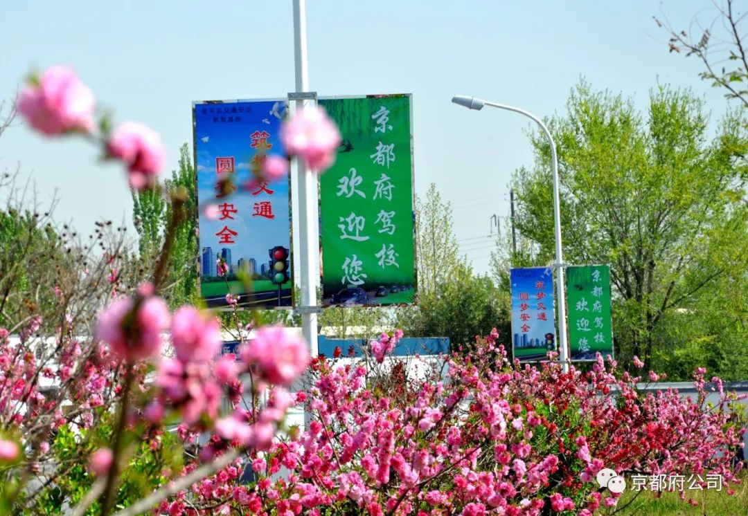 京都府駕校 京都府駕校