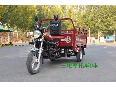 初學(xué)/增駕三輪摩托車駕照D本